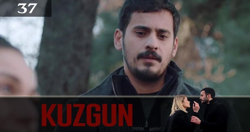 Сериал Ворон (Kuzgun) 2 сезон 37 серия онлайн в качестве 1080p