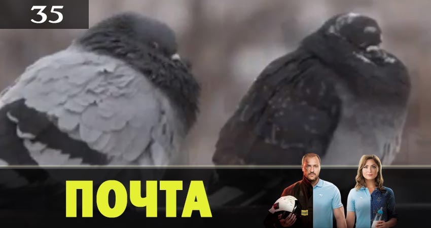 Почта (2019) 1 сезон 35 серия полностью смотреть бесплатно без рекламы