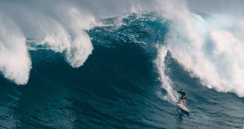 The Yard. Большая волна (2019) смотреть бесплатно в хорошем качестве