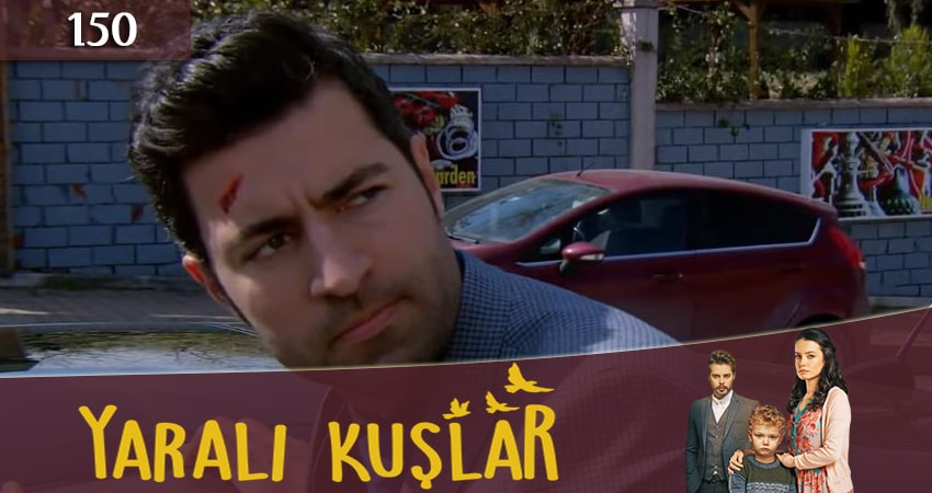 Фильм Раненые птицы (Yarali Kuslar) (2 сезон) все серии