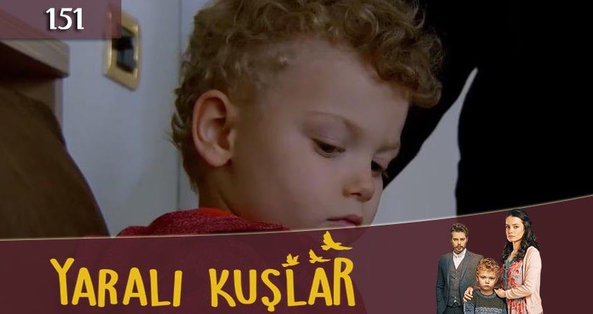 Раненые птицы (Yarali Kuslar) фильм лордфильм