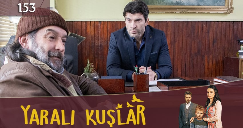Раненые птицы (Yarali Kuslar) (1 сезон, 2019) смотреть онлайн бесплатно