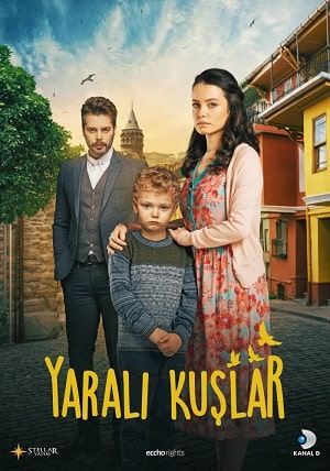 Раненые птицы (Yarali Kuslar) 1-й сезон (2019) смотреть сериал онлайн
