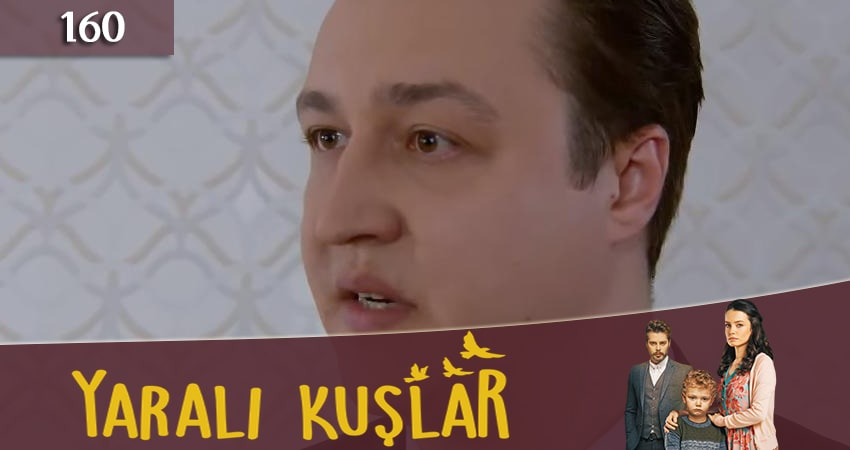 Смотреть сериал Раненые птицы (Yarali Kuslar) 1 сезон 160 серия в хорошем качестве HD