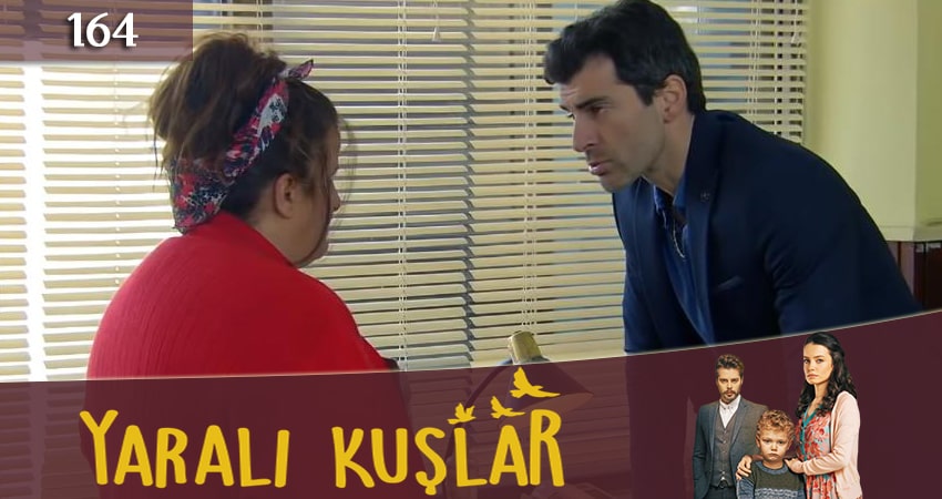 Раненые птицы (Yarali Kuslar) (2019) 1 сезон 164 серия смотреть онлайн бесплатно