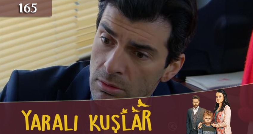 Раненые птицы (Yarali Kuslar) (1 сезон, 165 серия) смотреть онлайн бесплатно в хорошем HD 1080 качестве