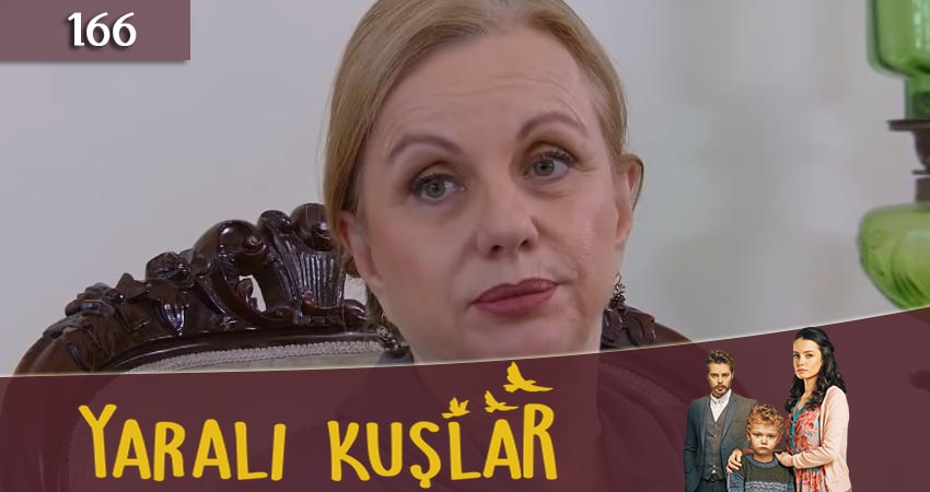 Cмотреть сериал Раненые птицы (Yarali Kuslar) 1 сезон 166 серия онлайн бесплатно