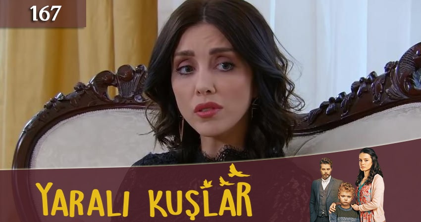 Сериал Раненые птицы (Yarali Kuslar) 1 сезон 167 серия онлайн в качестве 1080p