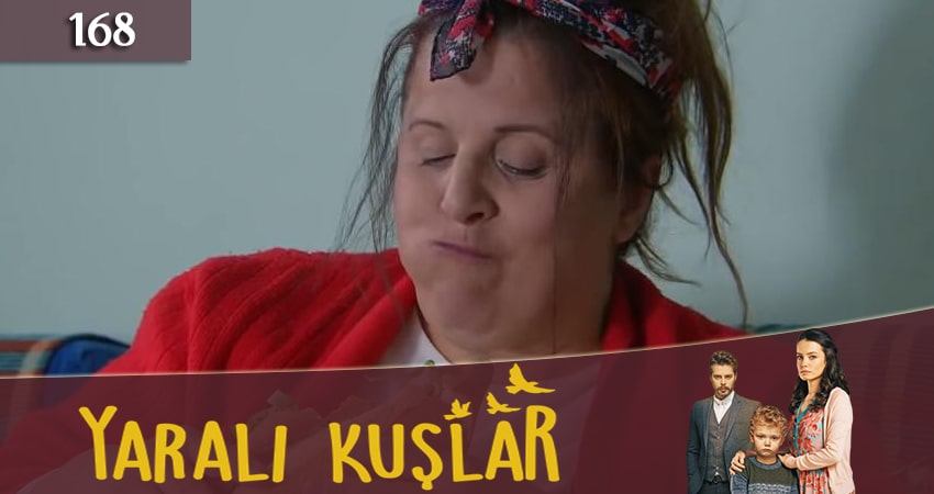 Раненые птицы (Yarali Kuslar) 1 сезон 168 серия смотреть онлайн бесплатно в хорошем качестве