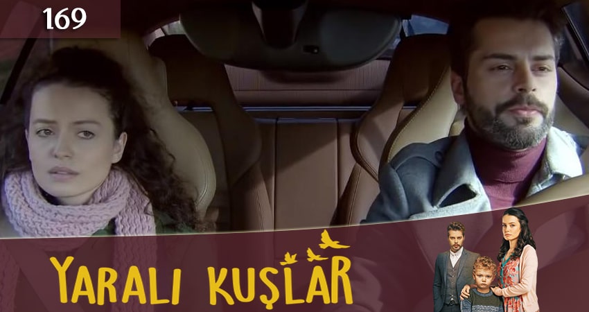 Сериал Раненые птицы (Yarali Kuslar) (2019) 1 сезон 169 серия в хорошем качестве 1080 Full HD