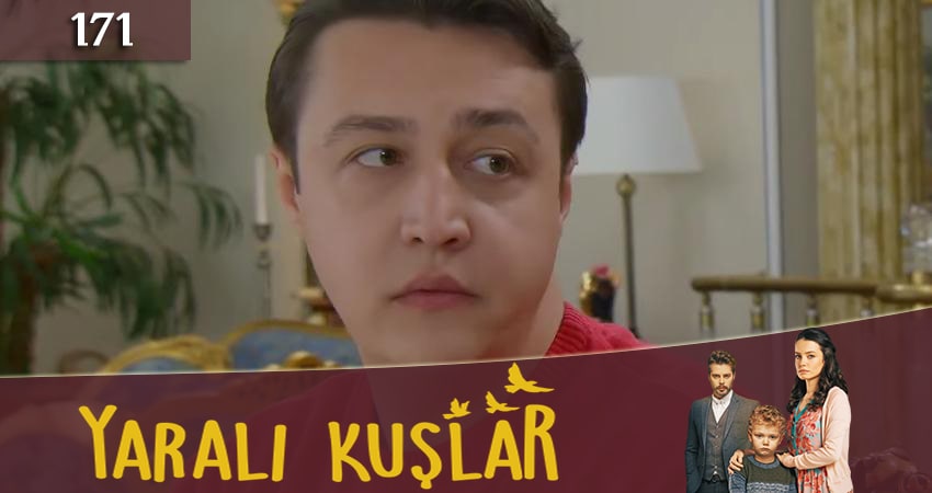 Раненые птицы (Yarali Kuslar) 1 сезон 171 серия смотреть бесплатно в хорошем качестве