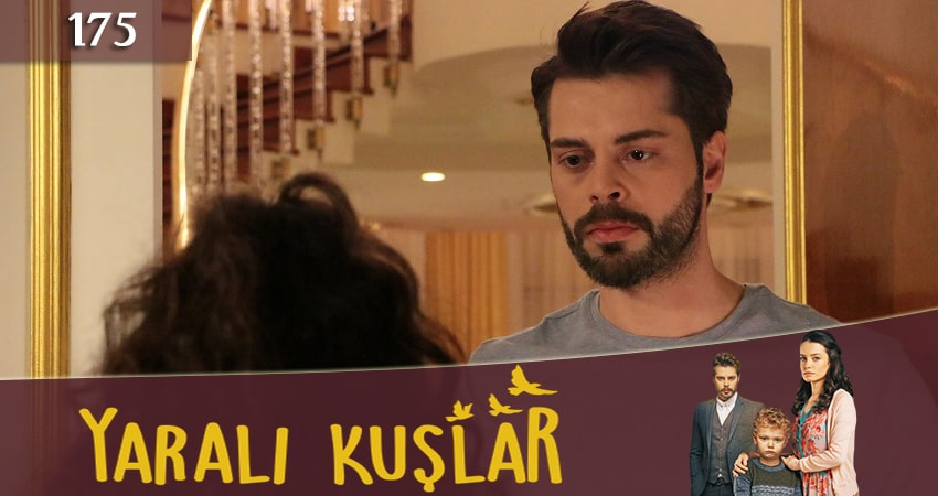 Сериал Раненые птицы (Yarali Kuslar) (2019) 1 сезон 175 серия смотреть бесплатно в хорошем качестве