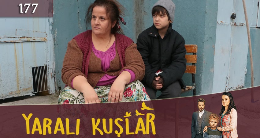 Сериал Раненые птицы (Yarali Kuslar) (2019) 1 сезон 177 серия смотреть онлайн в качество 1080 HD или 4K