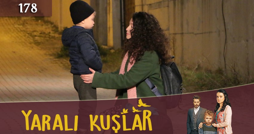 Сериал Раненые птицы (Yarali Kuslar) (2019) 1 сезон 178 серия смотреть бесплатно в хорошем качестве
