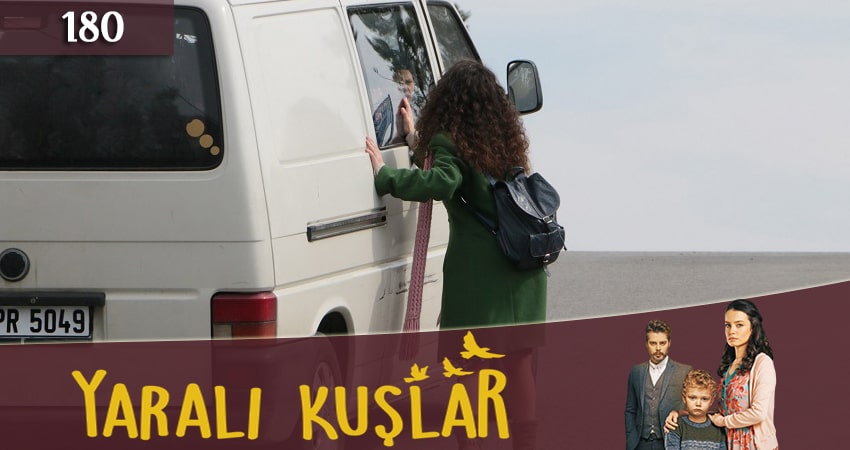 Сериал Раненые птицы (Yarali Kuslar) (1 сезон, 2019) смотреть онлайн бесплатно в хорошем HD 1080 качестве