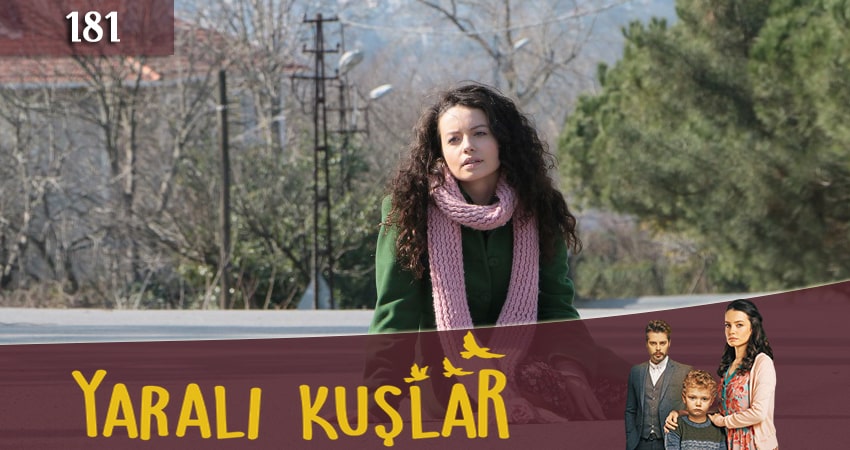 Раненые птицы (Yarali Kuslar) (2019) 1 сезон 181 серия полностью смотреть бесплатно без рекламы