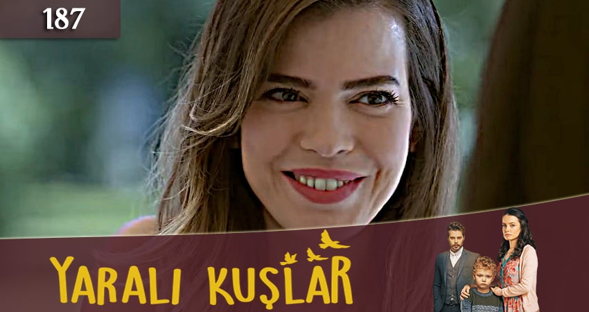 Раненые птицы (Yarali Kuslar) (2019) 1 сезон 187 серия смотреть онлайн бесплатно