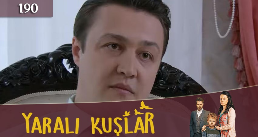 Раненые птицы (Yarali Kuslar) 1 сезон 190 серия все серии подряд онлайн бесплатно