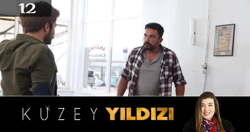 Полярная звезда (Kuzey Yildizi) 1 сезон 12 серия все серии подряд онлайн бесплатно