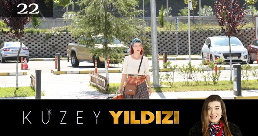 Полярная звезда (Kuzey Yildizi) 1 сезон 22 серия смотреть онлайн на телефоне бесплатно