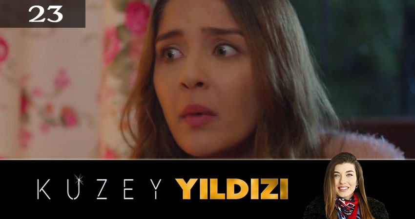 Сериал Полярная звезда (Kuzey Yildizi) (2019) 1 сезон 23 серия в 4K UHD и HD смотреть онлайн бесплатно