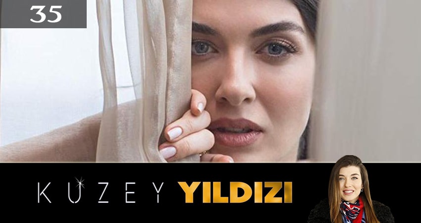 Полярная звезда (Kuzey Yildizi) 1 сезон 35 серия смотреть онлайн в качестве 4K