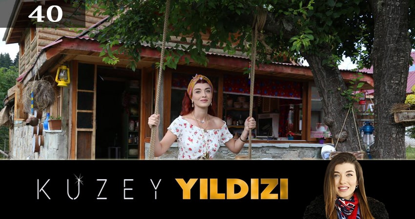 Полярная звезда (Kuzey Yildizi) (2019) 1 сезон 40 серия полностью в хорошем качестве и бесплатно