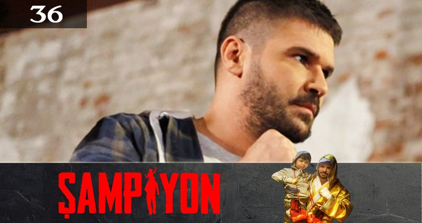 Чемпион (Sampiyon) 1 сезон 36 серия полная версия смотреть бесплатно