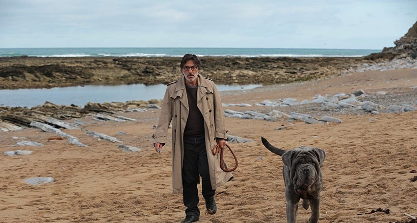 Смотреть Фильм Моя собака Идиот (Франция) 2019 в хорошем качестве онлайн