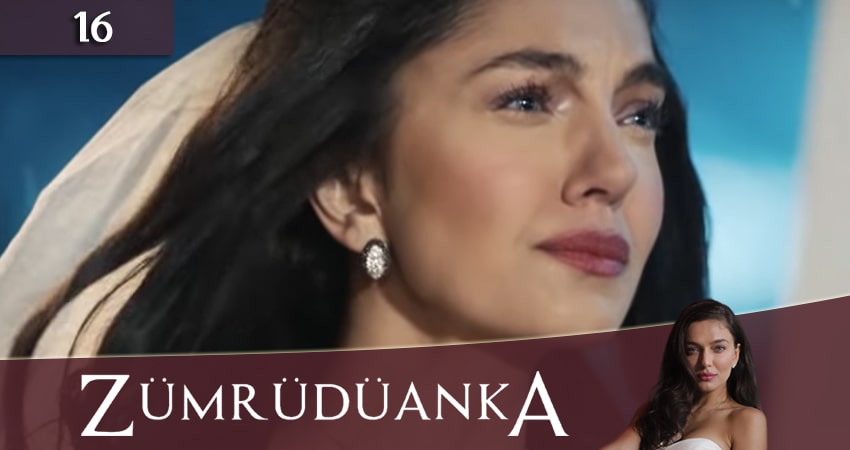 Птица Феникс / Изумрудный Феникс (Zumrudu Anka / Zümrüdüanka) (2020) 1 сезон 16 серия смотреть онлайн бесплатно