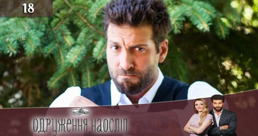 Смотреть Свадьба вслепую (Одруження наослiп) 6 сезон 18 серия онлайн бесплатно без смс