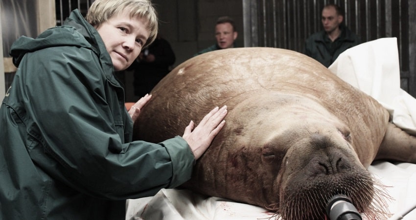 Несейка. Младшая дочь смотреть онлайн в хорошем качестве бесплатно