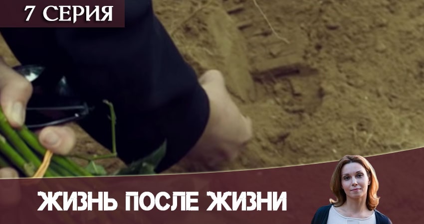 Сериал Жизнь после жизни (Небеса подождут) (1 сезон, 7 серия) смотреть онлайн в хорошем качестве бесплатно