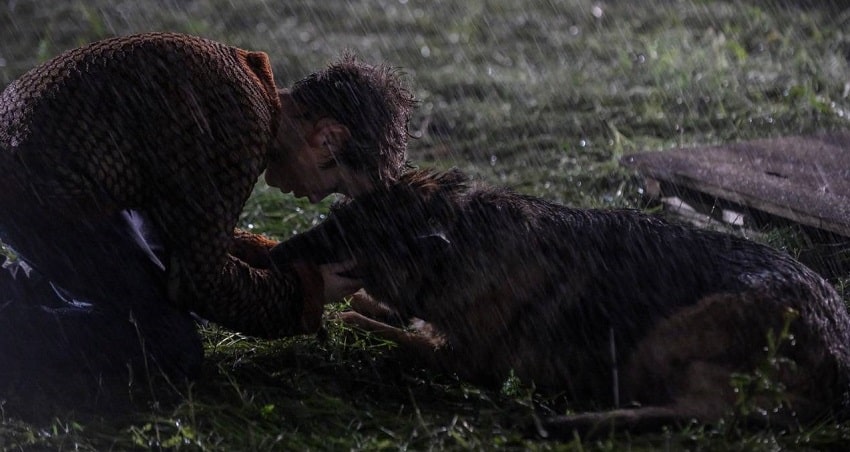 Пальма (Россия) полная версия смотреть бесплатно