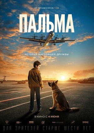 Пальма 2020 в суперкачестве 4K смотреть бесплатно онлайн