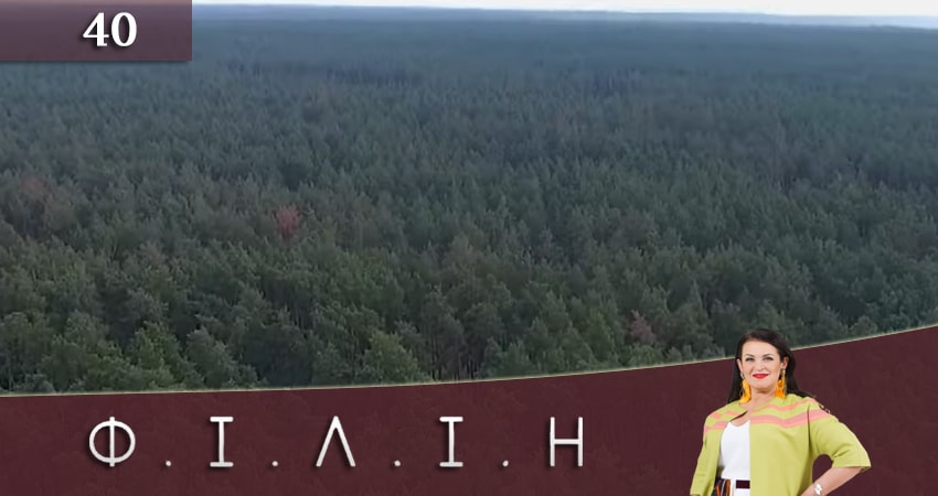 Смотреть сериал Филин (Фiлiн) 1 сезон 40 серия бесплатно и без рекламы