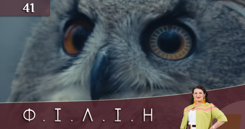 Смотреть сериал Филин (Фiлiн) 1 сезон 41 серия бесплатно и без рекламы