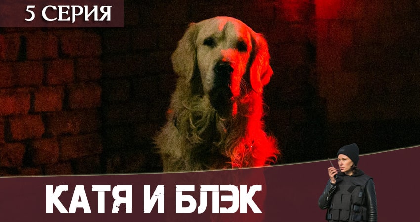 Катя и Блэк 1 сезон 5 серия полная версия смотреть бесплатно