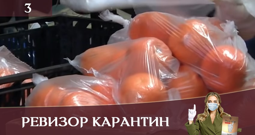 Сериал Ревизор. Карантин (Ревiзор Карантин) (2020) 1 сезон 3 серия в хорошем качестве 1080 Full HD