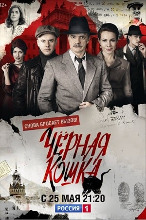 Черная кошка 1 сезон (2020, Россия) смотреть сериал онлайн