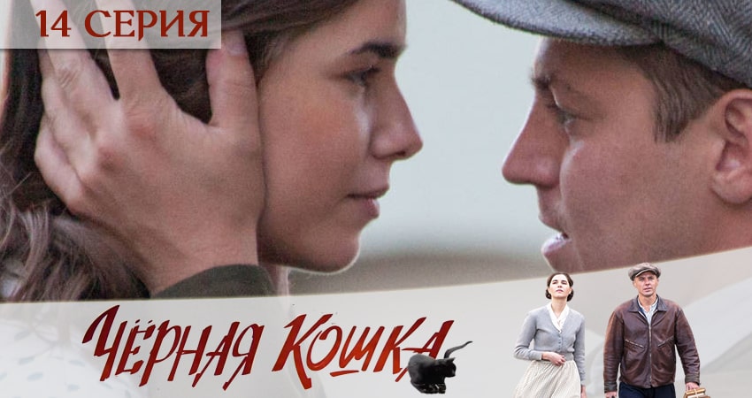 Черная кошка (2020) 1 сезон 14 серия смотреть онлайн бесплатно
