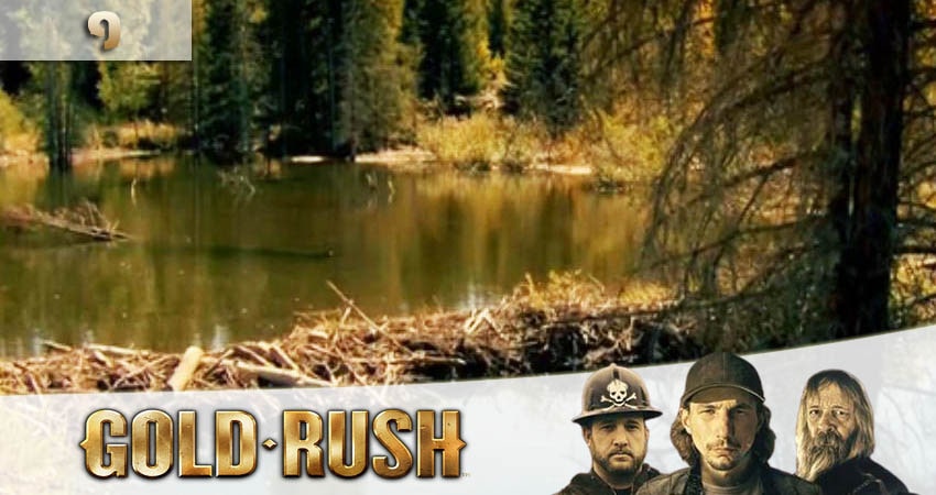 Золотая лихорадка (Gold Rush) 10 сезон 9 серия все серии подряд онлайн бесплатно