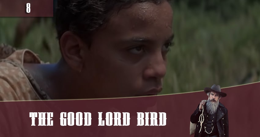 Где можно посмотреть Птица доброго господа (The Good Lord Bird) (1 сезон, 1-8,9,10 серия)