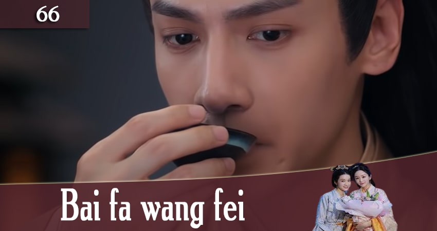 Серебряная Принцесса / Волосы в серебре (Bai fa wang fei) 1 сезон 66 серия смотреть полностью без перерыва