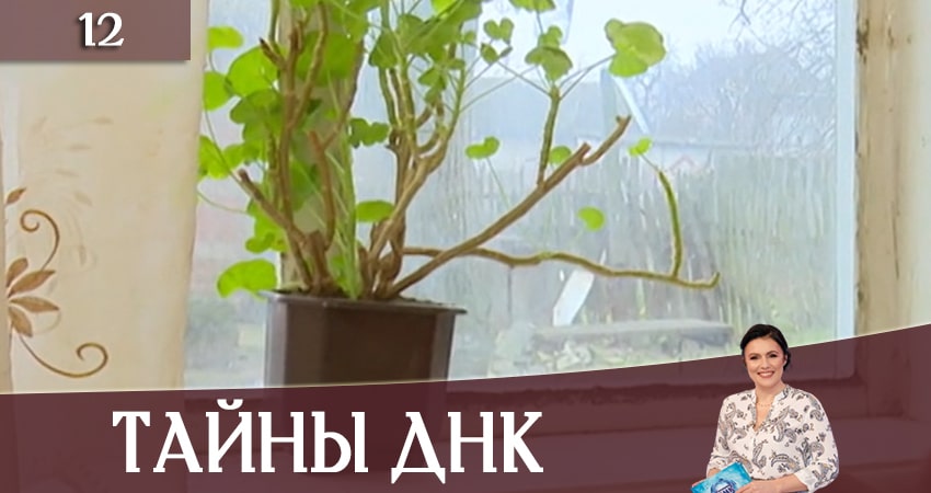 Тайны ДНК (Таємницi ДНК) 3 сезон 12 серия полная версия смотреть бесплатно