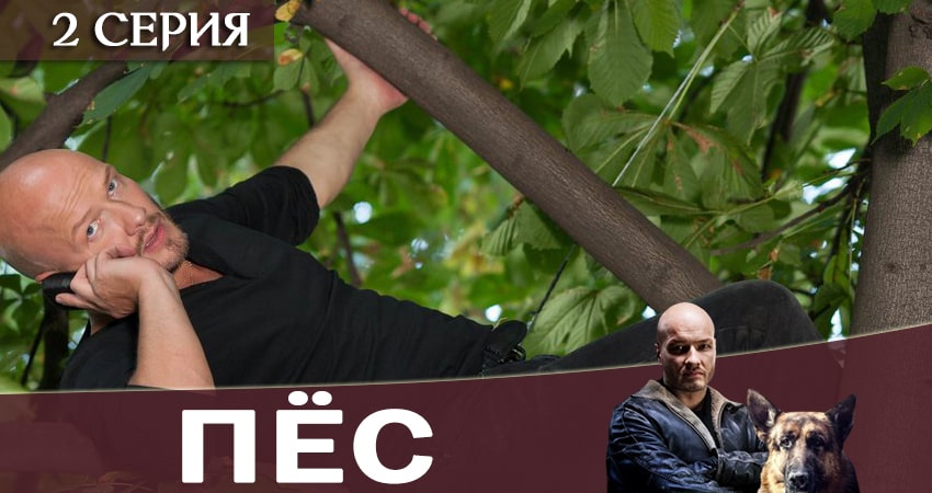 Пес (сериал) (6-й сезон) все серии 2019