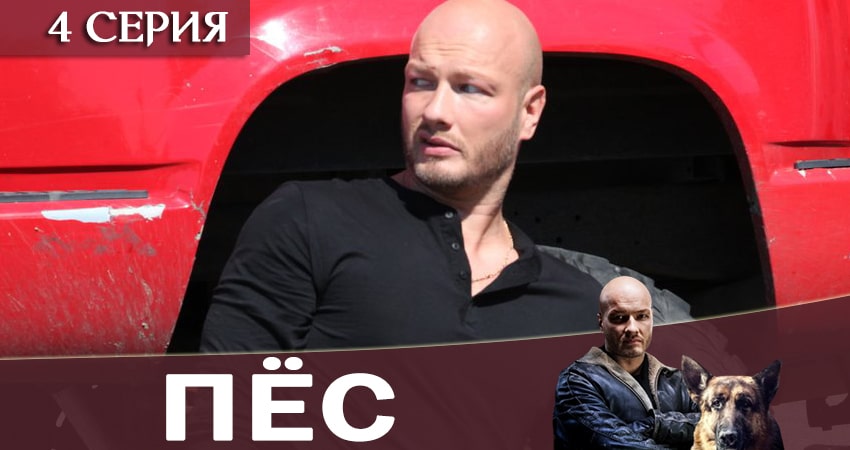 Пес (сериал) (7 сезон) бесплатно