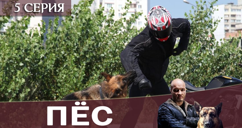 Пес (сериал) 6 сезон 5 серия смотреть в хорошем качестве