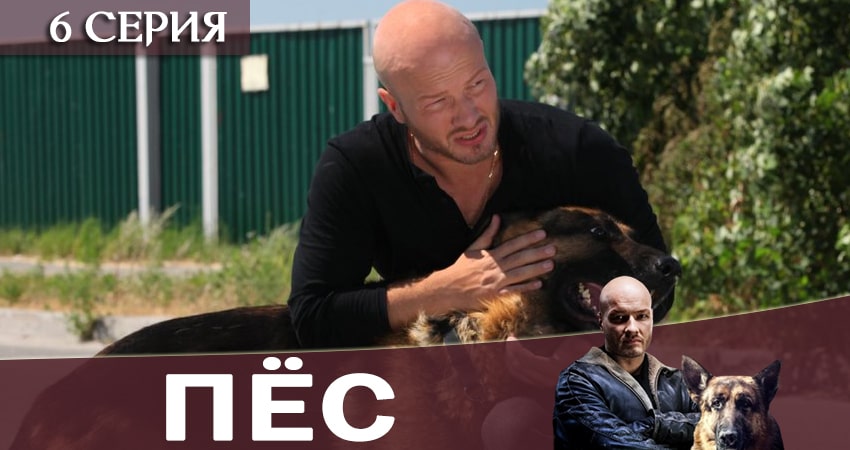 Пес (сериал) (2019) 6 сезон 6 серия онлайн бесплатно в высоком качестве