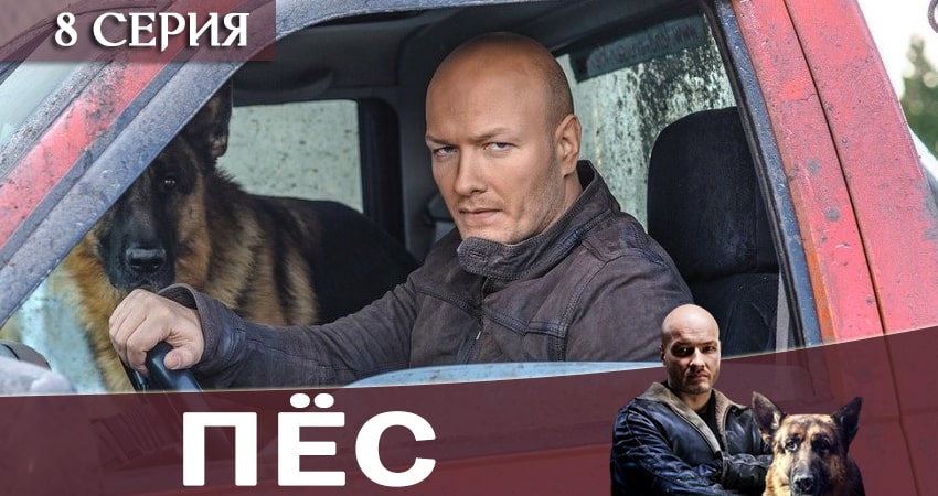 Смотреть сериал Пес (сериал) (6 сезон, 1-20,21,22 серия) онлайн лорд